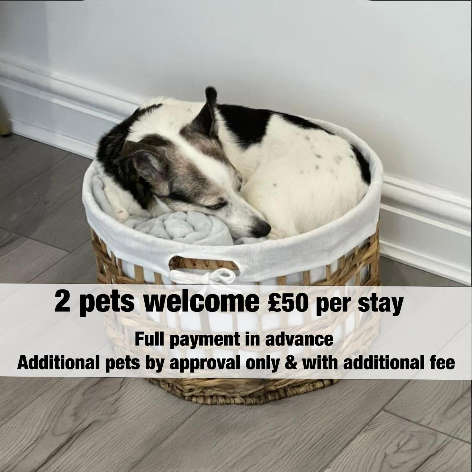 Emerald Delightful Suite Moseley Mews, Birmingham By Staystaycations Luaran gambar